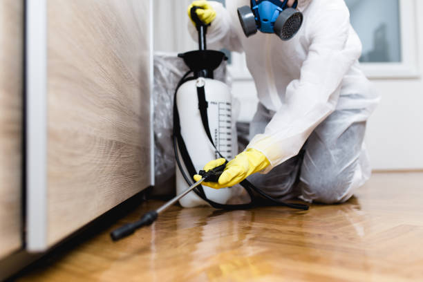 Best Pest Control Near Me in Trenton, FL