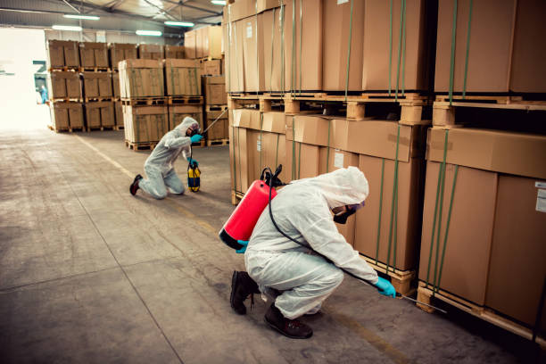 Best Flea Control Services  in Trenton, FL