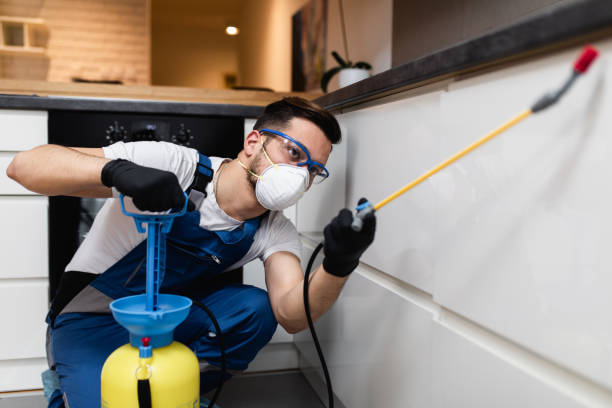 Best Pest Control for Homes  in Trenton, FL