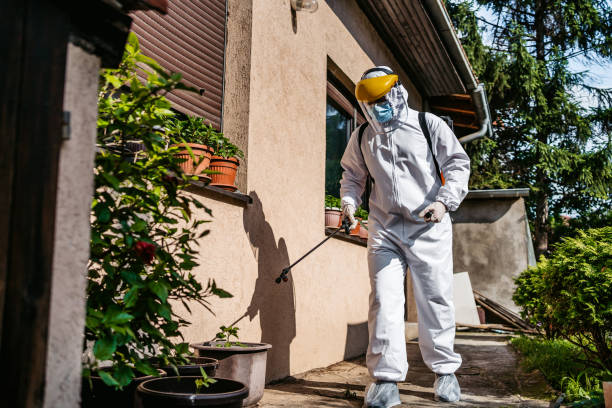 Best Local Pest Control Services  in Trenton, FL