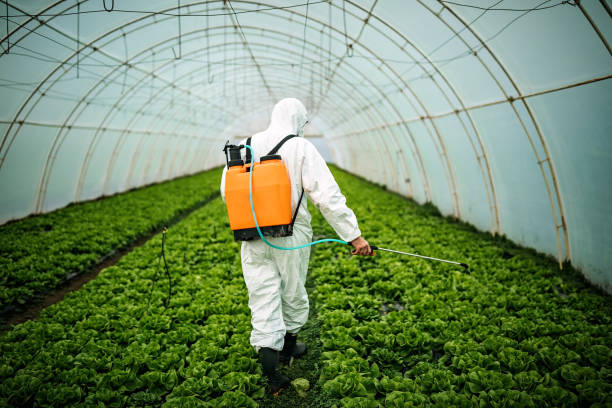 Best Pest Inspection Near Me  in Trenton, FL