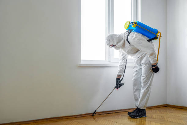 Best Affordable Pest Control Services  in Trenton, FL