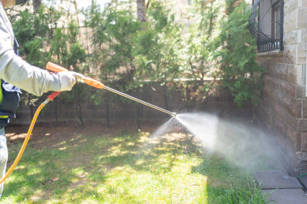 Best Best Pest Control Companies  in Trenton, FL