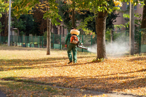 Best Termite Control Services  in Trenton, FL