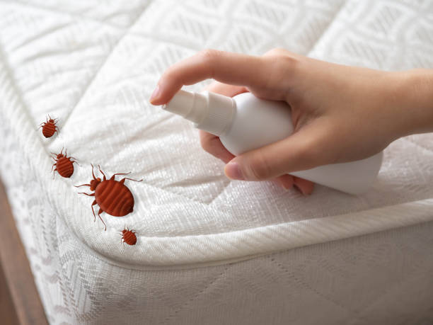 Best Affordable Pest Control Services  in Trenton, FL