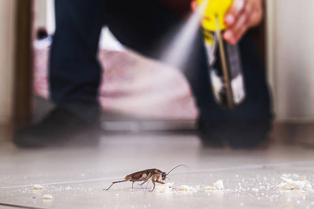 Best Emergency Pest Control  in Trenton, FL