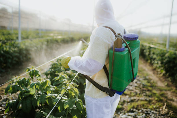 Best Bed Bug Extermination  in Trenton, FL